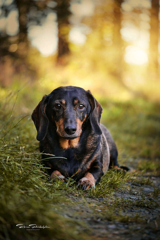 One Moment.Please (One Moment.Please)