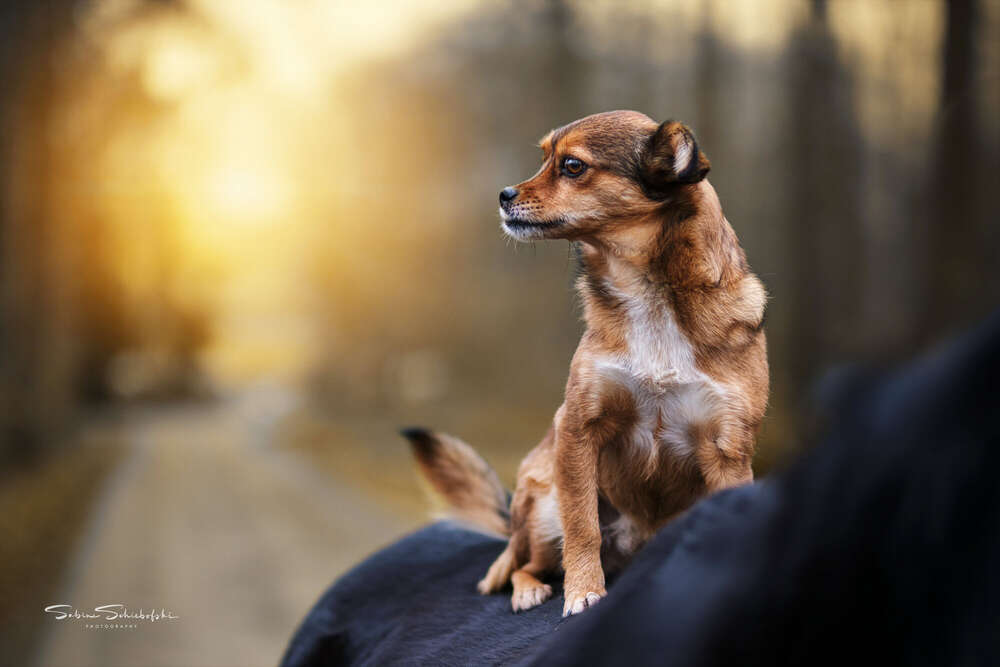 One Moment.Please (One Moment.Please)