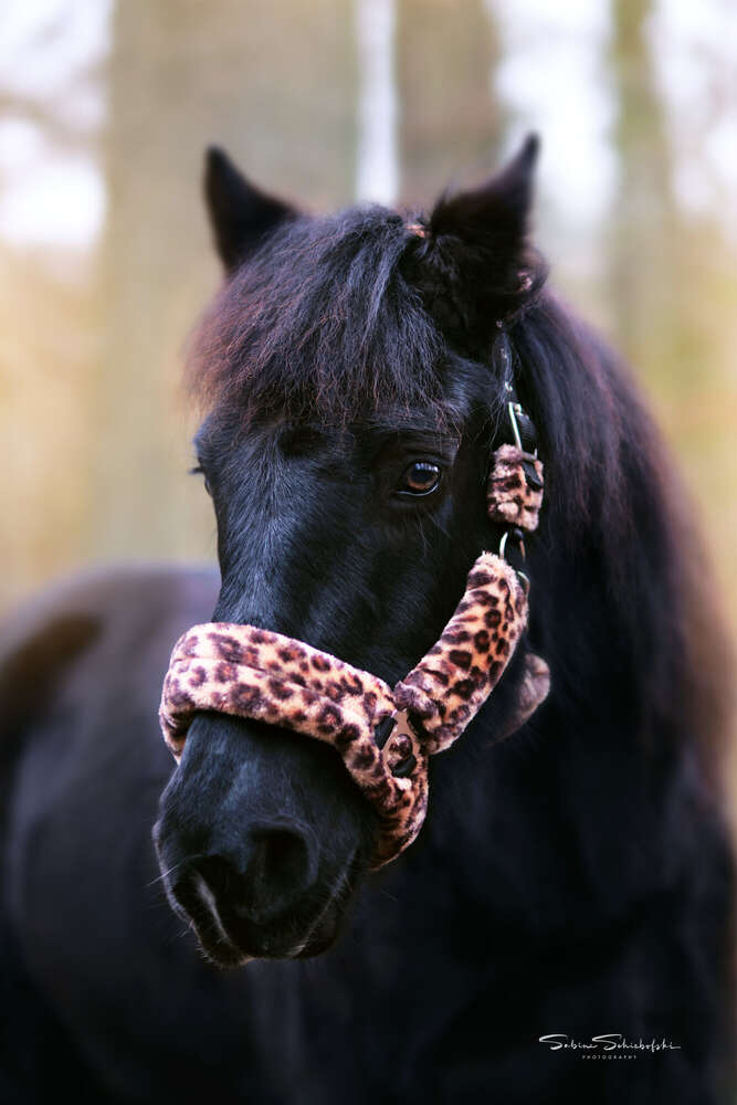 One Moment.Please (One Moment.Please)