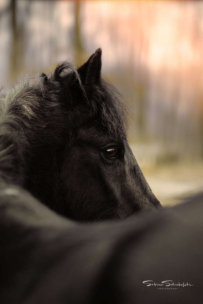 One Moment.Please (One Moment.Please)