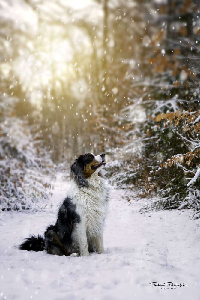 Winterwonderland (One Moment.Please)