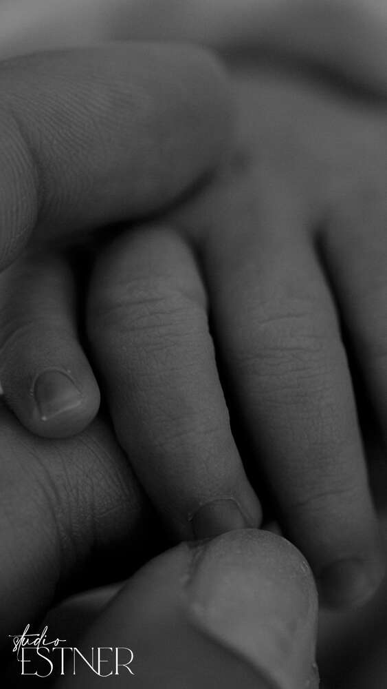 Studio Estner (Studio Estner)