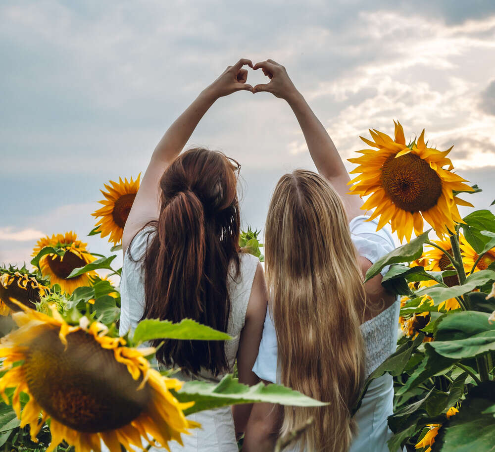 Sarah Steinbruch (Sarah Steinbruch)