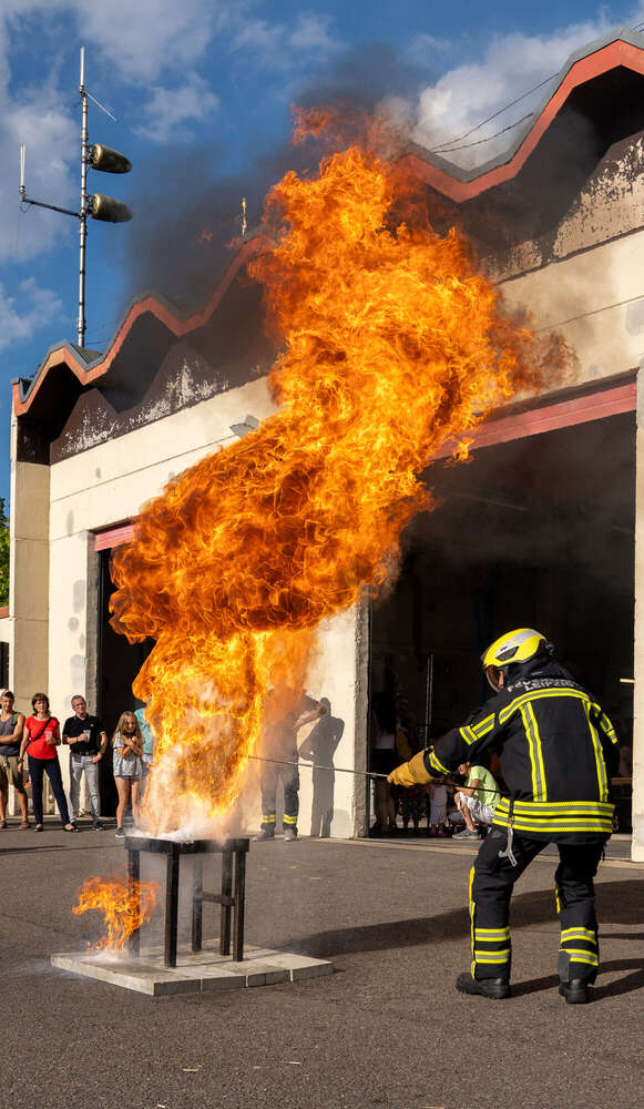 Sarah Steinbruch (Sarah Steinbruch)