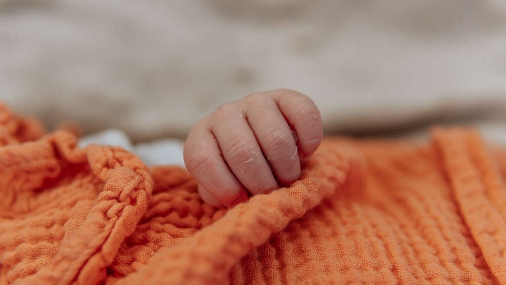 Sarah Steinbruch (Sarah Steinbruch)