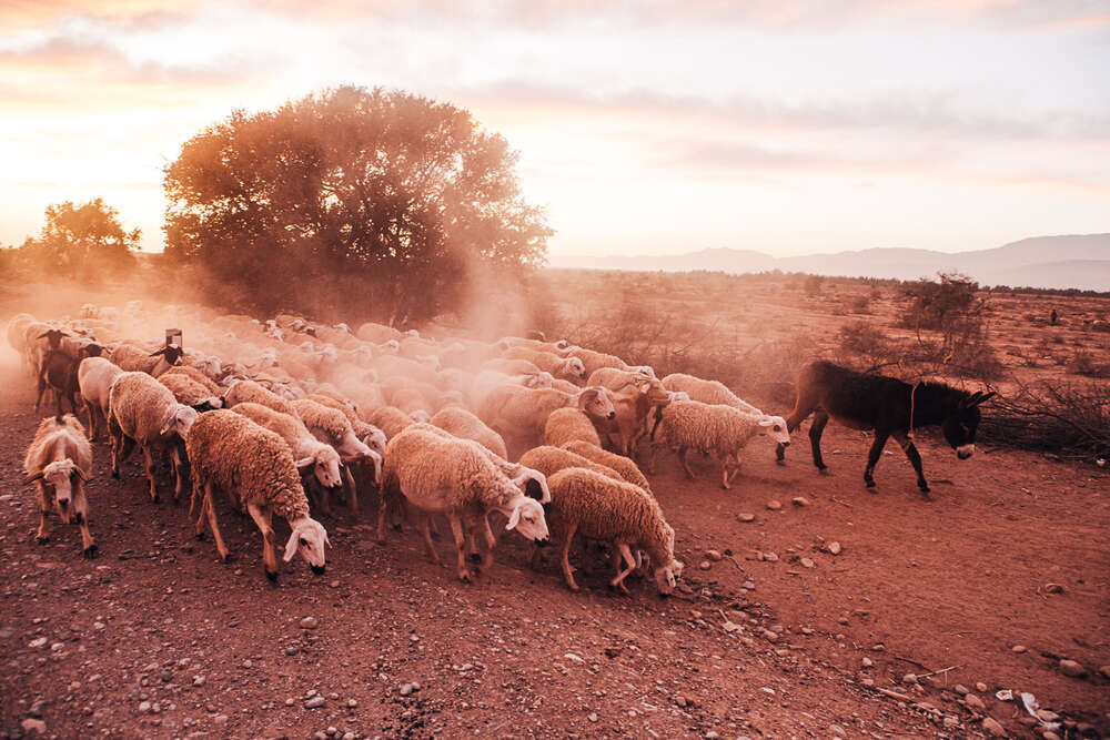 Marocan Mosaic - Tamrakht (Studio Nick Harwart Köln & Bonn)