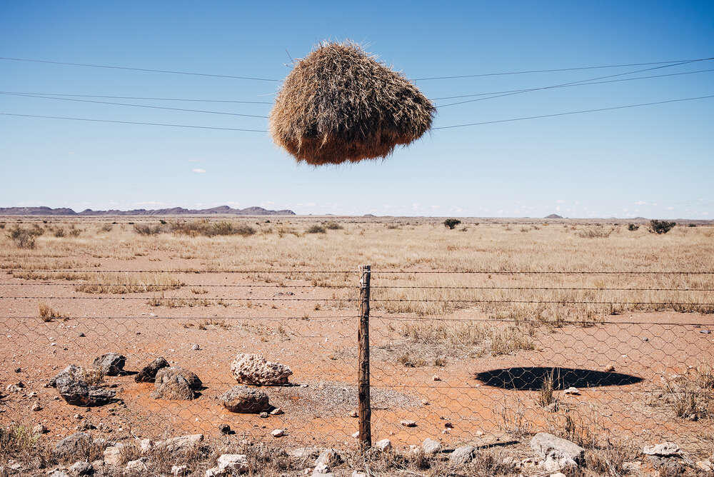 Studio Nick Harwart Köln & Bonn (Studio Nick Harwart Köln & Bonn)