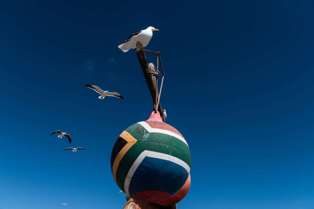 Studio Nick Harwart Köln & Bonn