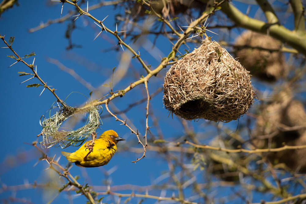 Studio Nick Harwart Köln & Bonn (Studio Nick Harwart Köln & Bonn)
