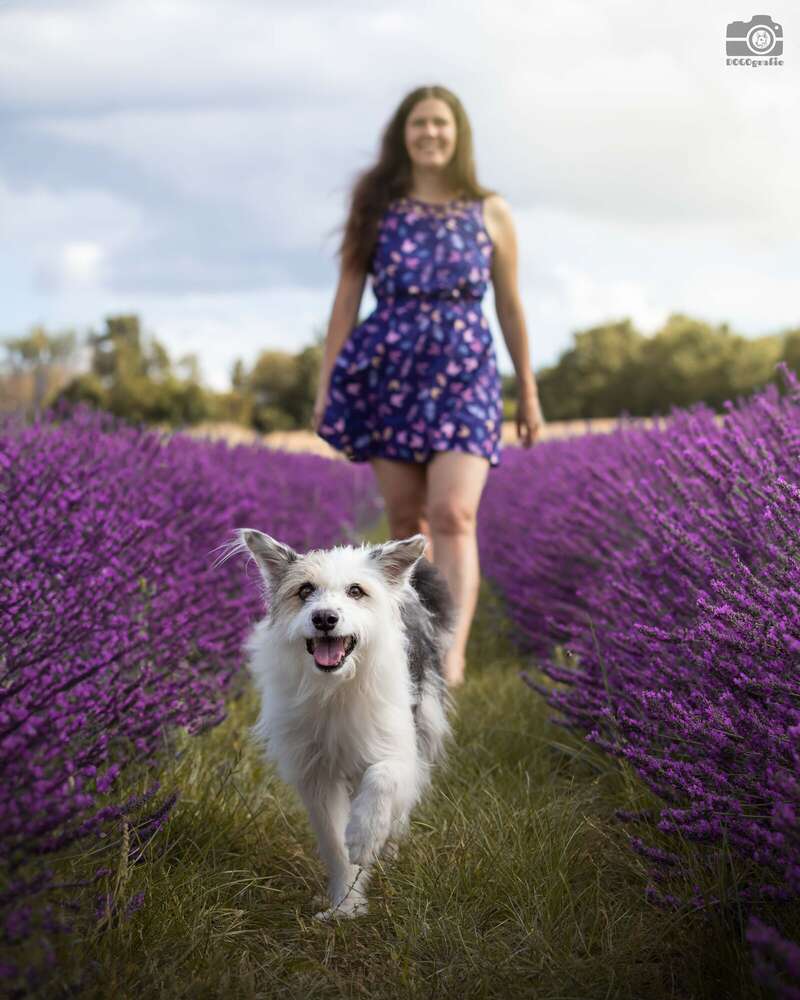 DOGOgrafie (DOGOgrafie)