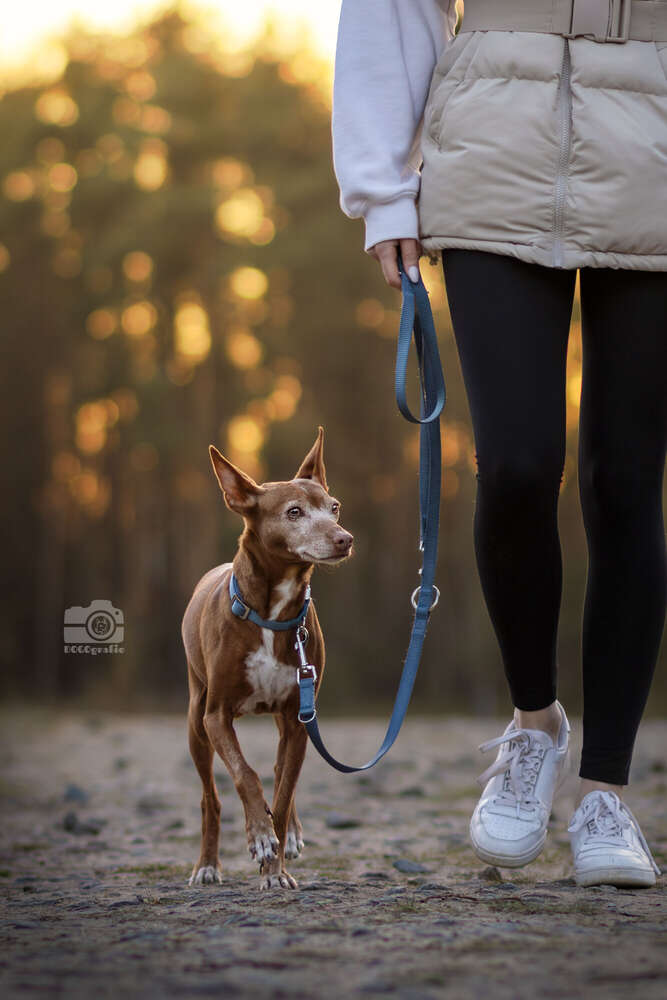 DOGOgrafie (DOGOgrafie)