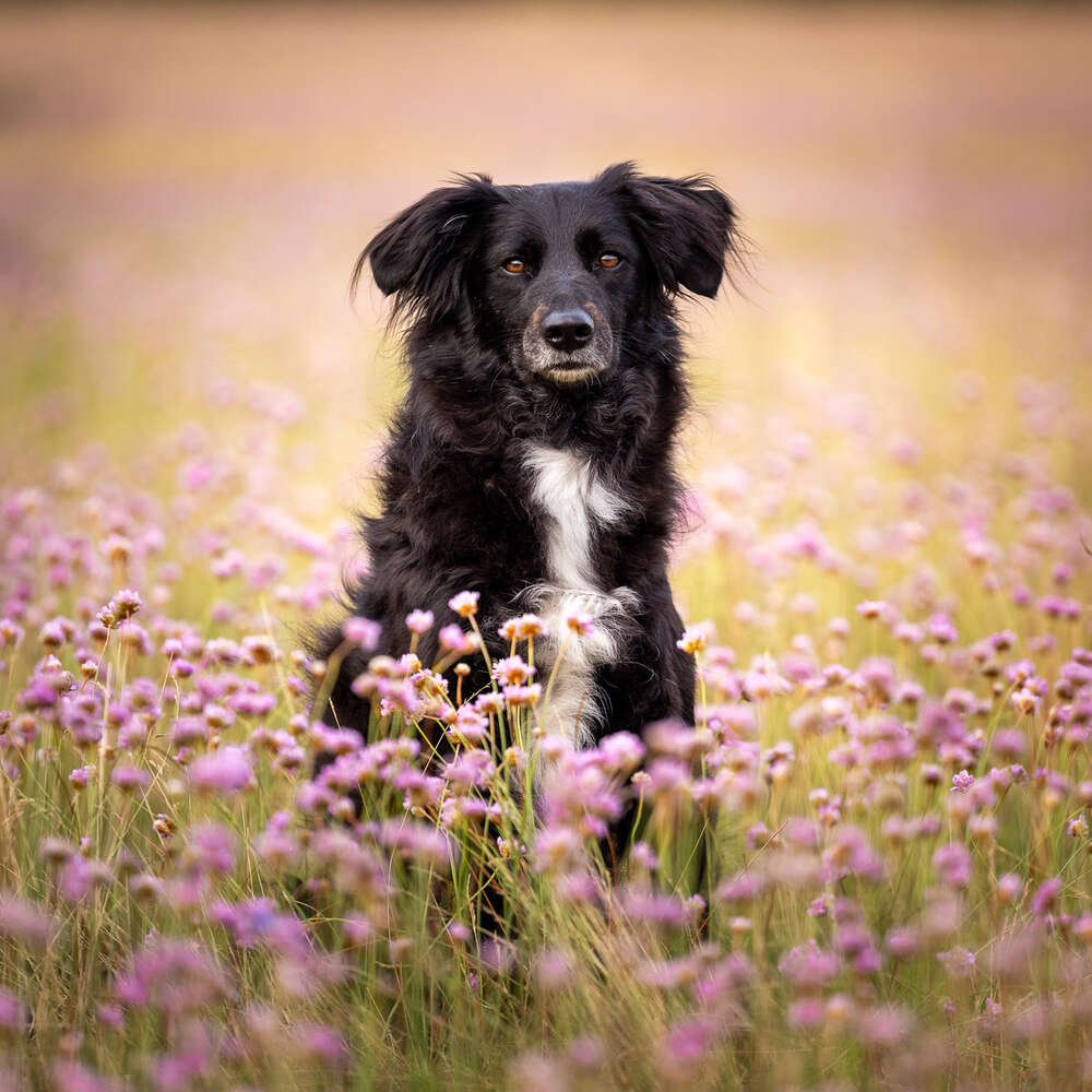 Andre Gärtner Photography (Andre Gärtner Photography)