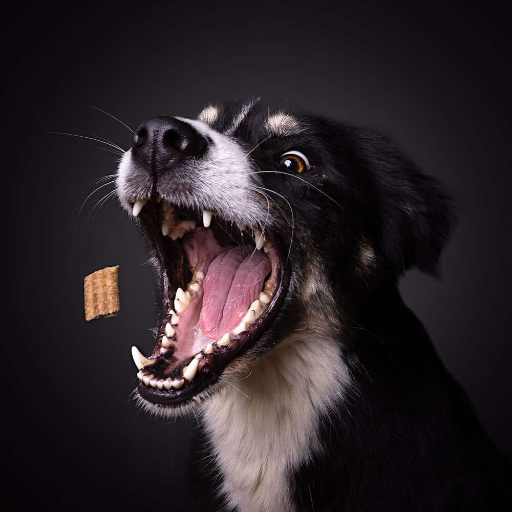 Andre Gärtner Photography (Andre Gärtner Photography)