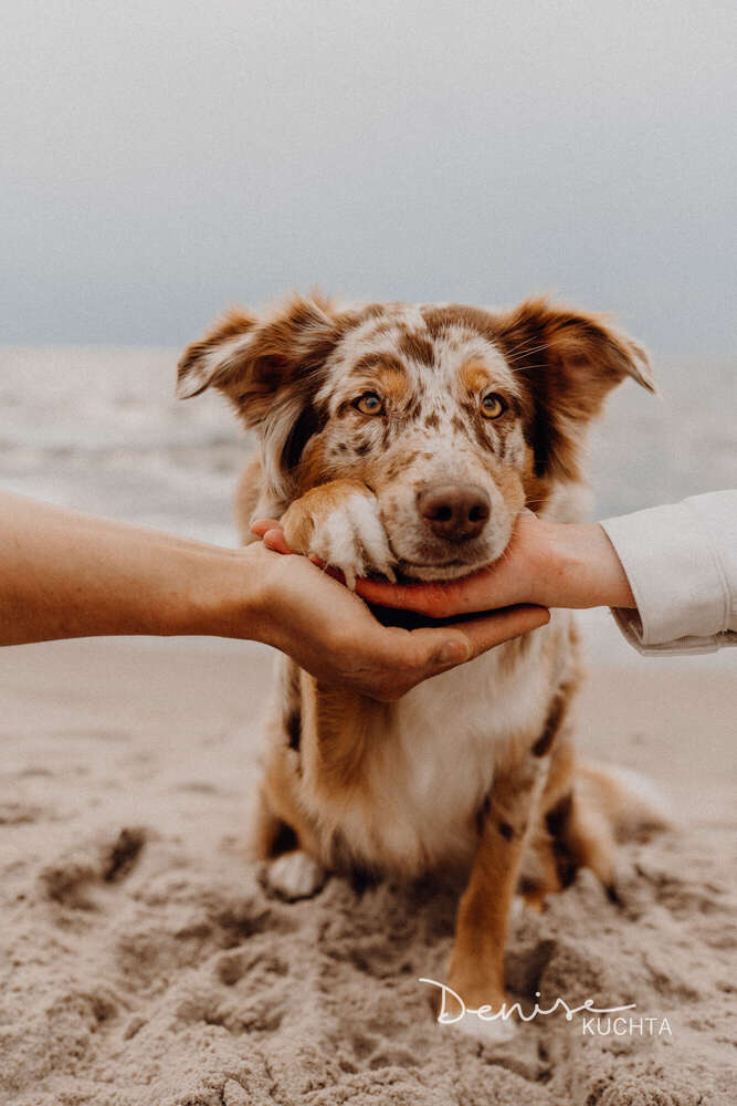 Denise Kuchta (Denise Kuchta)