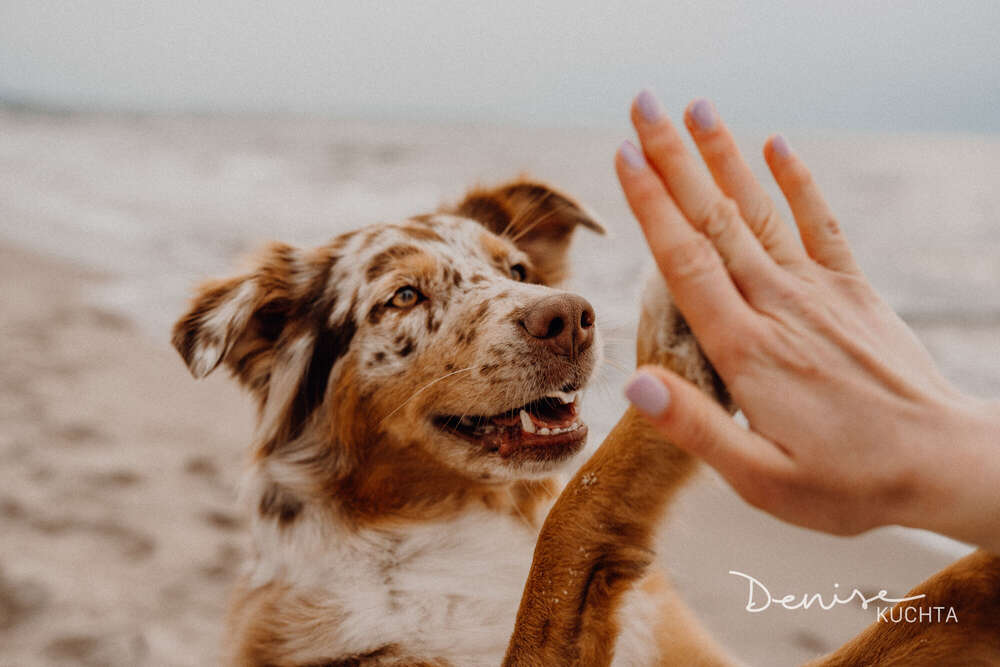 Denise Kuchta (Denise Kuchta)