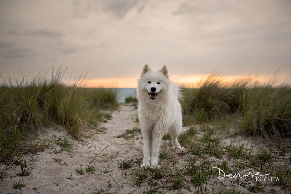 Denise Kuchta (Denise Kuchta)