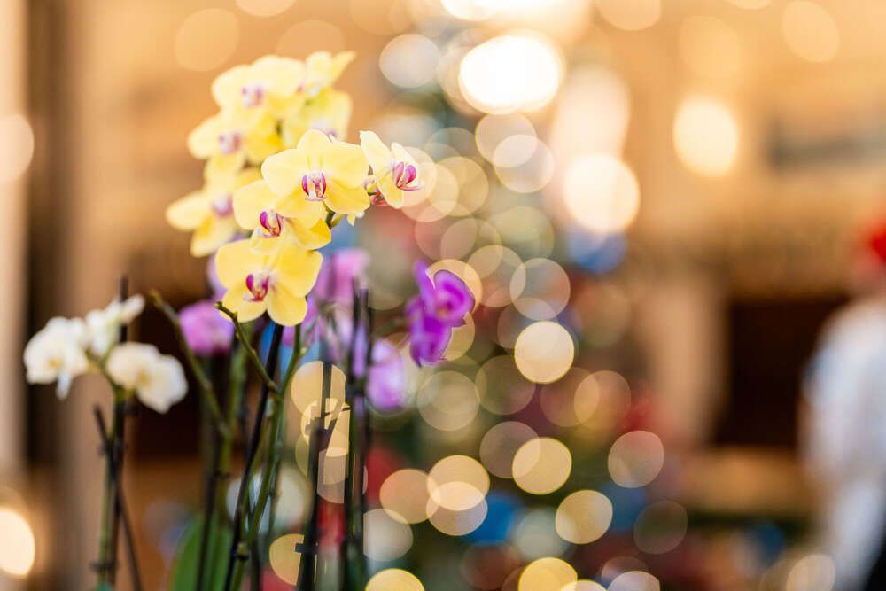 Mert Rüttermann - Foto & Film (Mert Rüttermann - Foto & Film)