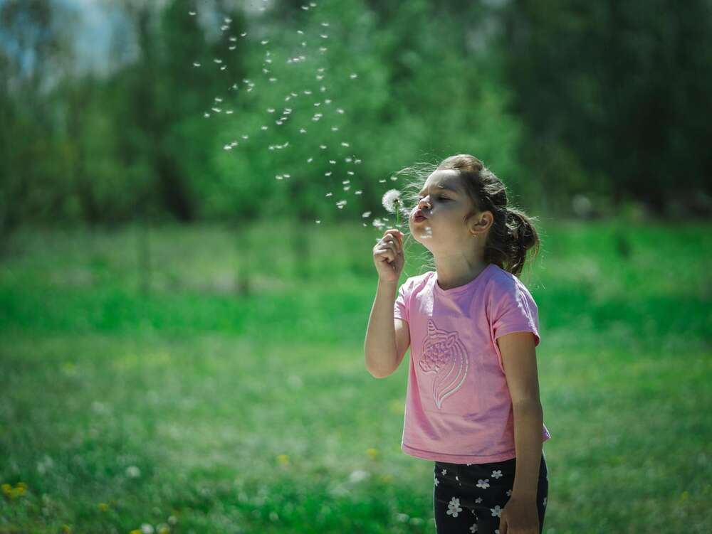 kristijanphotography (kristijanphotography)