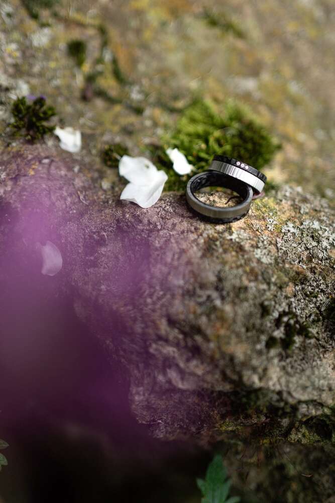 Daniel Knödler  (Daniel Knödler )