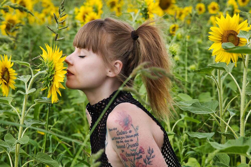 Shooting im Sonnenblumenfeld 2024 (Sascha Blei Fotografie)