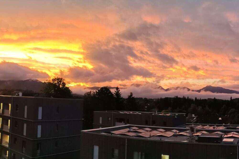 SaintRootz Fotografie & IT