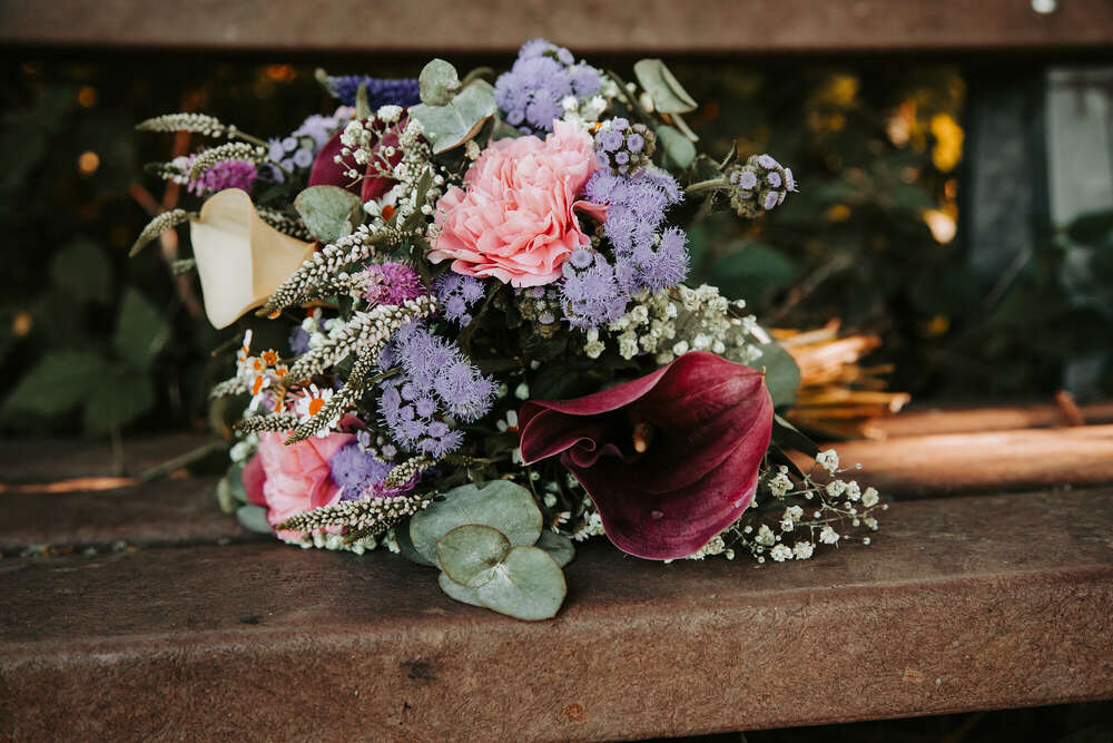 Windherz Fotografie (Windherz Fotografie)