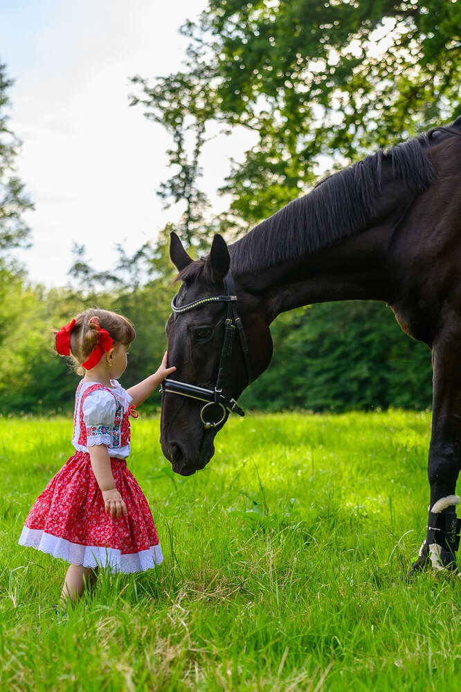 Susan Photography (Susan Photography)