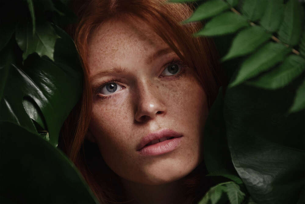 Daniel Gressler (Daniel Gressler)