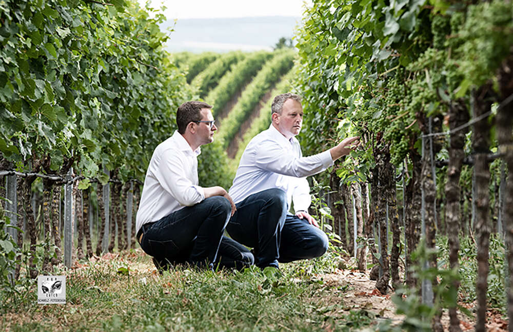 Winzer im WEinberg (Fotograf Würzburg | Schmelz Fotodesign)