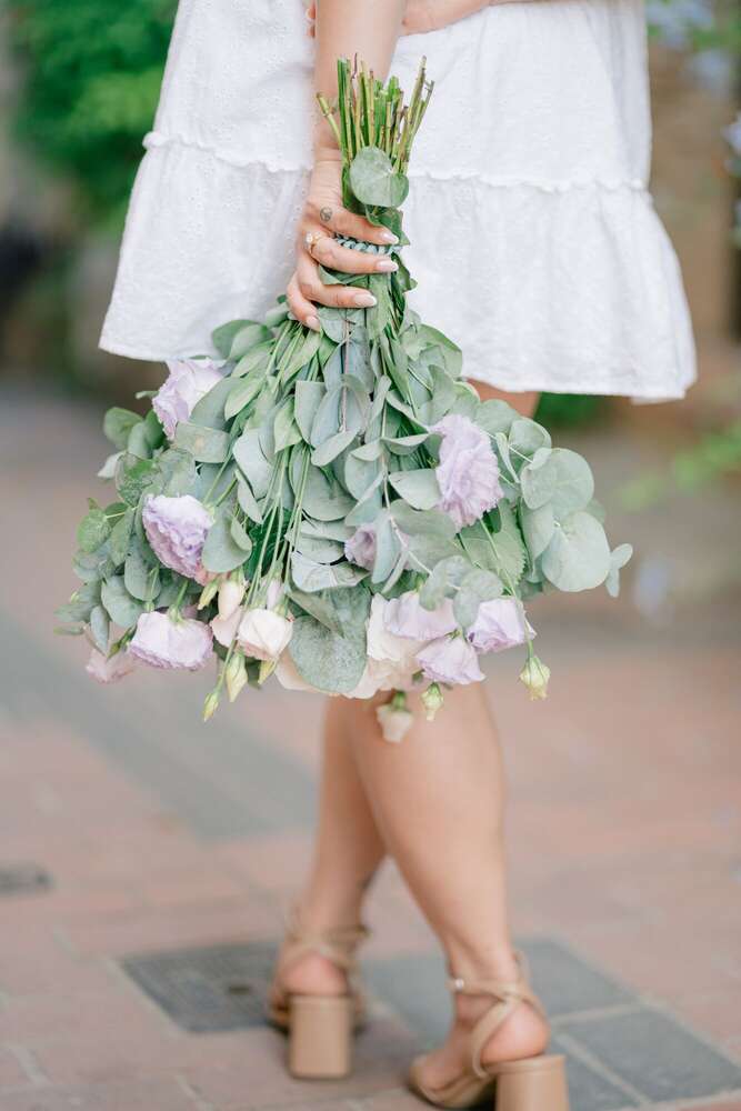 Rose Photography (Rose Photography)