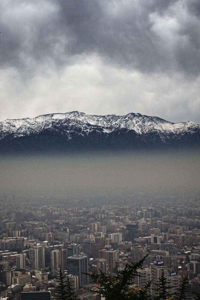 Julia Ziemer (Julia Ziemer)