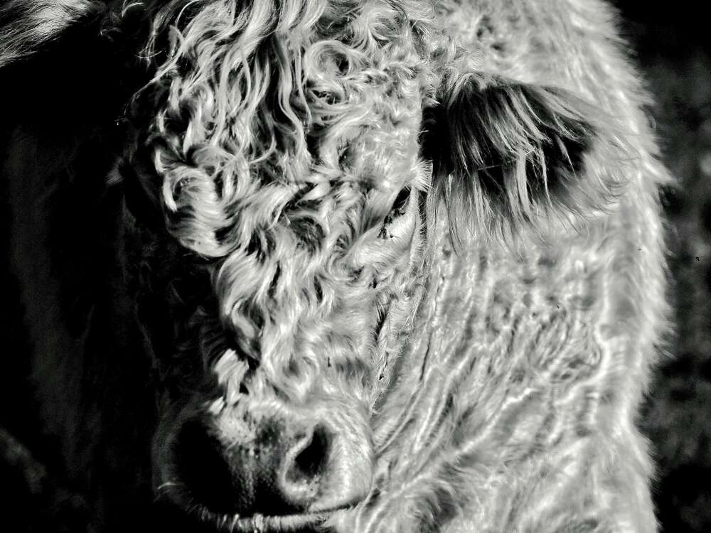 shooting_ 4beiner (FOTOGRAFABEL by Nicolas Sportelli)