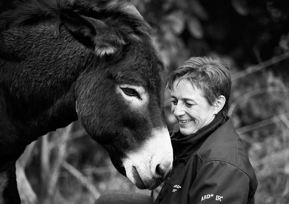 FOTOGRAFABEL by Nicolas Sportelli (FOTOGRAFABEL by Nicolas Sportelli)