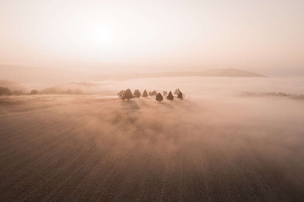 Helmstaedter.digital