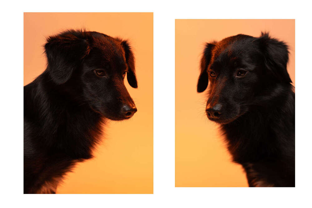 Simon Povazan Studio