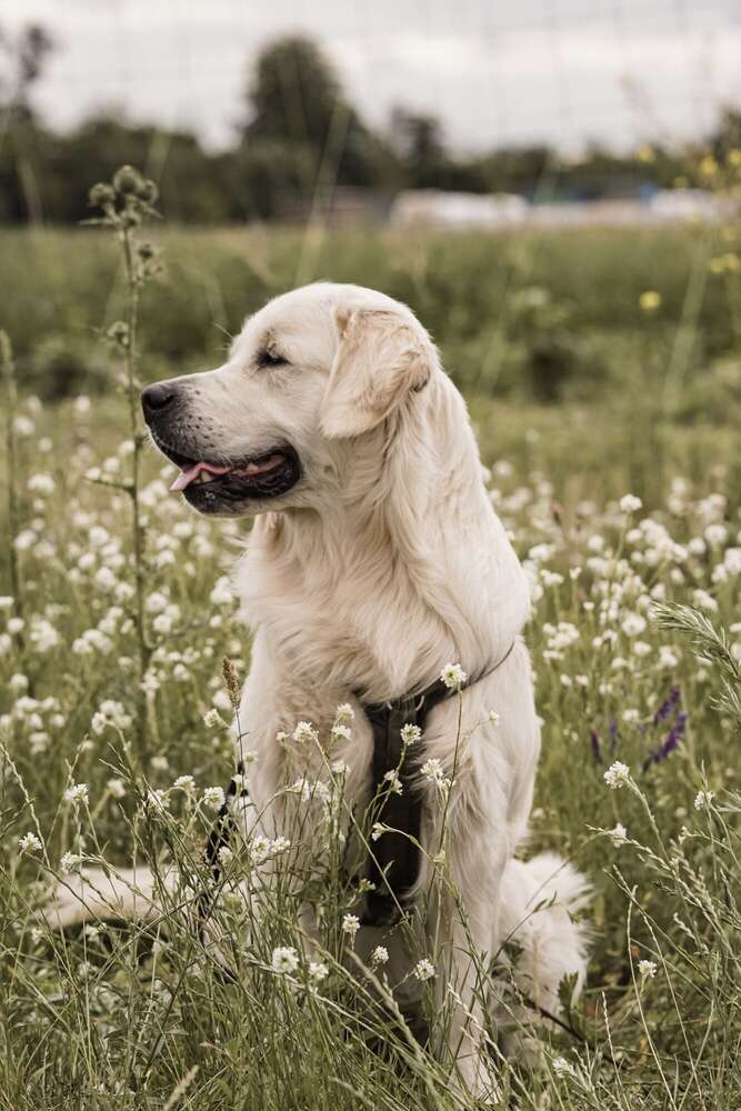 Swantje Damm (Swantje Damm)