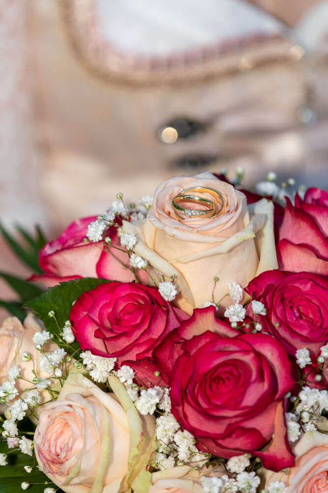 Claudia Marienfeld (Claudia Marienfeld)