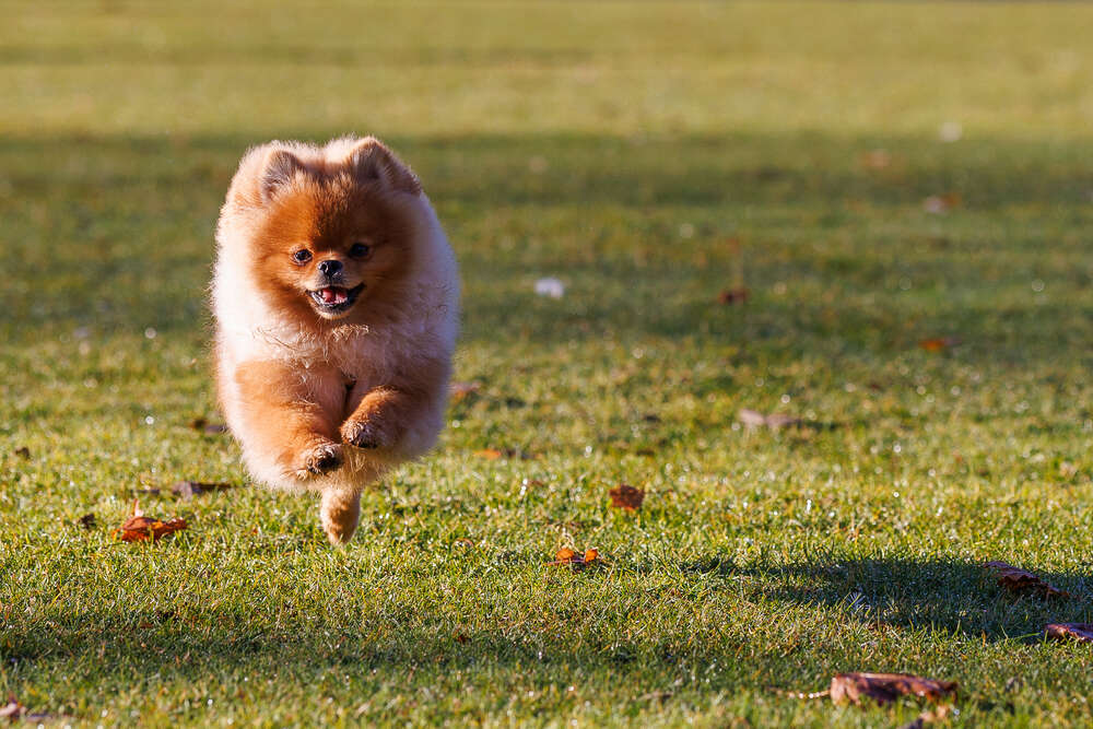 Claudia Marienfeld (Claudia Marienfeld)