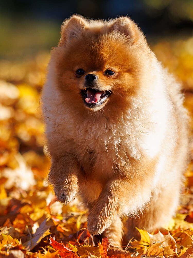 Claudia Marienfeld (Claudia Marienfeld)