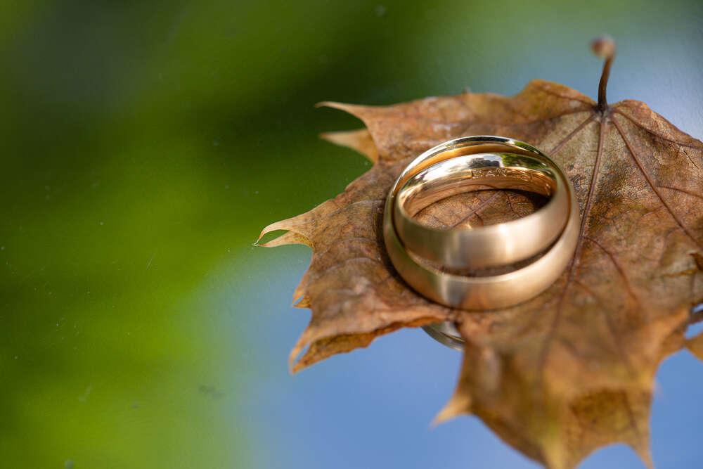 Claudia Marienfeld (Claudia Marienfeld)