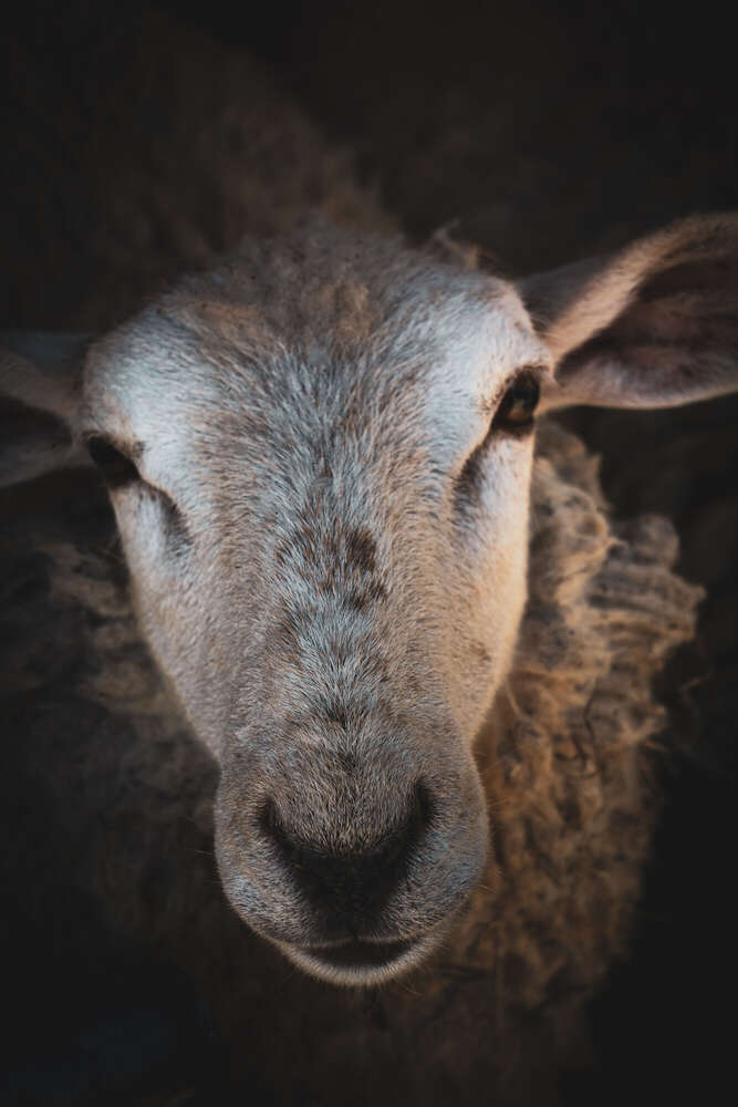 Christian Past (Christian Past)