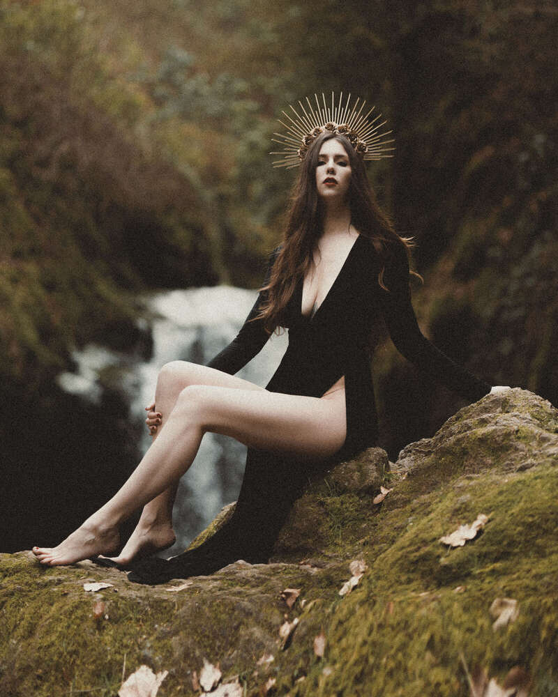 Pollys Perfect Pictures (Pollys Perfect Pictures)