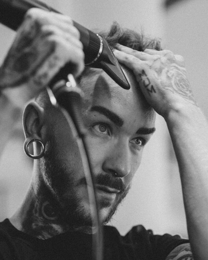 Pollys Perfect Pictures (Pollys Perfect Pictures)