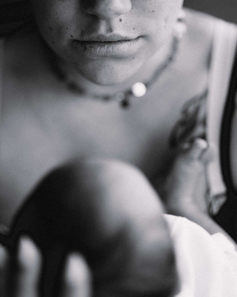 Pollys Perfect Pictures (Pollys Perfect Pictures)