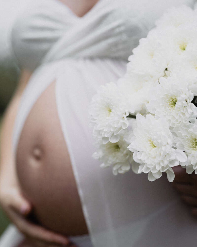 Pollys Perfect Pictures (Pollys Perfect Pictures)