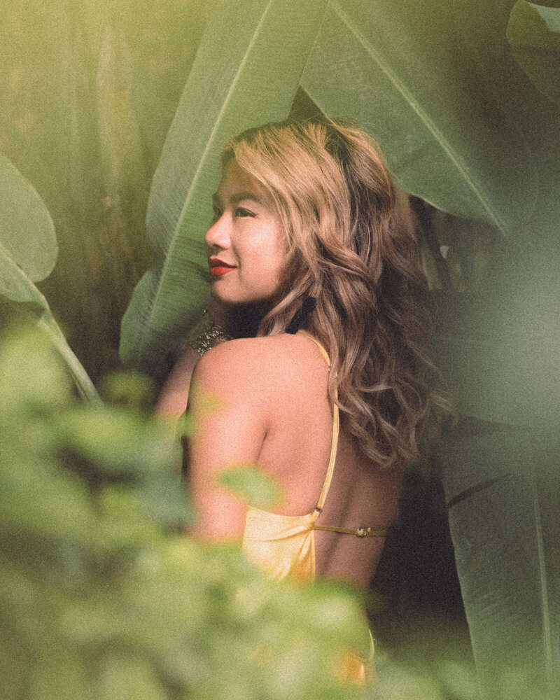 Pollys Perfect Pictures (Pollys Perfect Pictures)