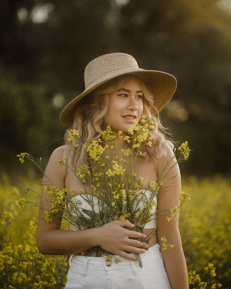 Pollys Perfect Pictures (Pollys Perfect Pictures)