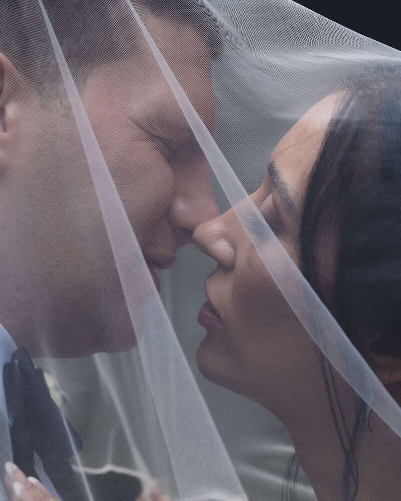 Pollys Perfect Pictures (Pollys Perfect Pictures)