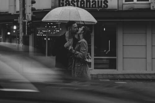 Pollys Perfect Pictures