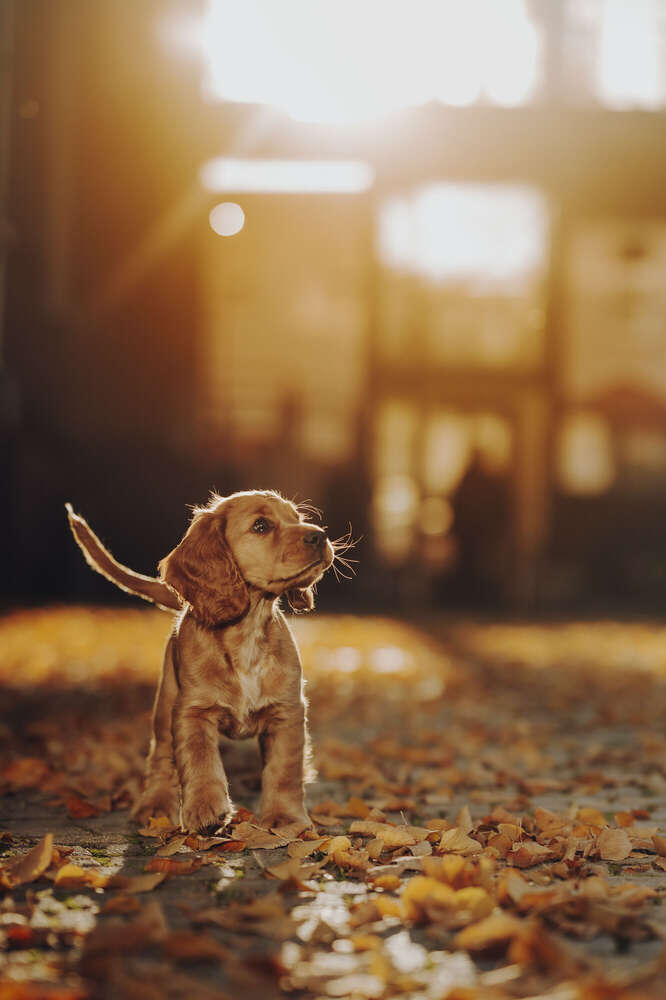 Svenja Münzer (Svenja Münzer)